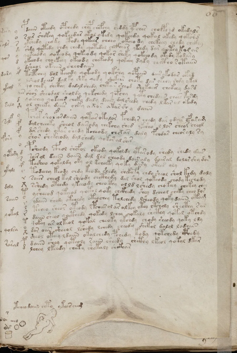A page of the Voynich Manuscript, in its unidentified script